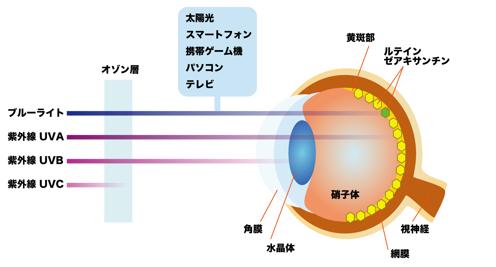 ミラグロAG