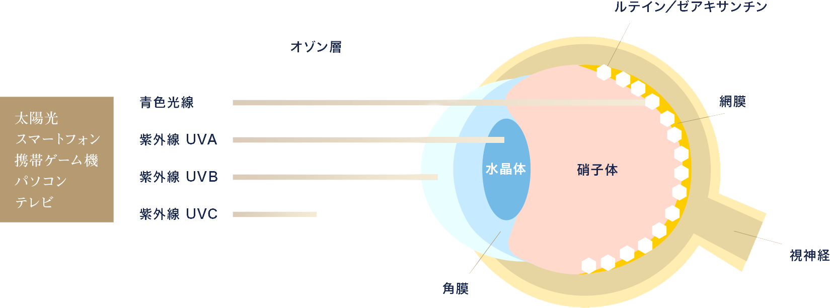 ミラグロAG